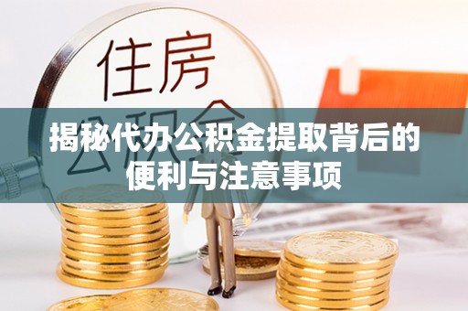 玉山揭秘代办公积金提取背后的便利与注意事项