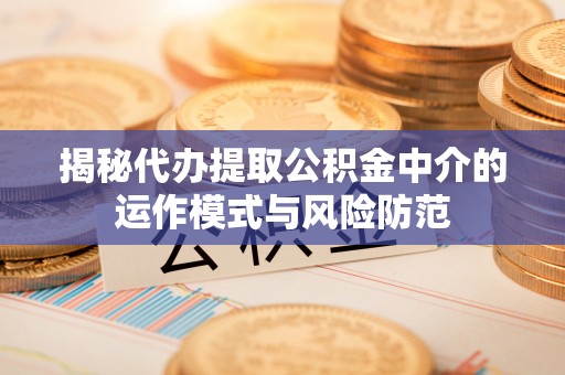 玉山揭秘代办提取公积金中介的运作模式与风险防范