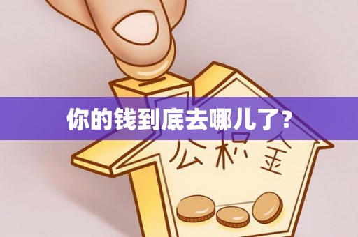 玉山你的钱到底去哪儿了？