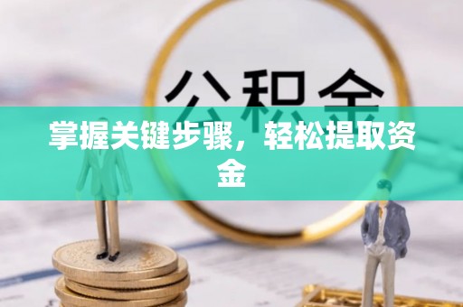 玉山掌握关键步骤，轻松提取资金