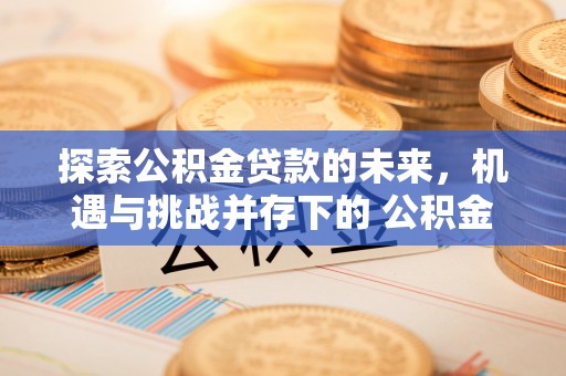 玉山探索公积金贷款的未来，机遇与挑战并存下的 公积金贷款风险防控