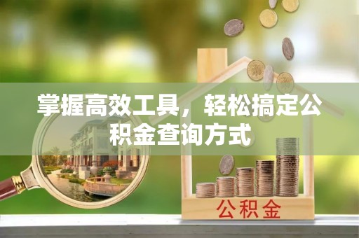 玉山掌握高效工具，轻松搞定公积金查询方式