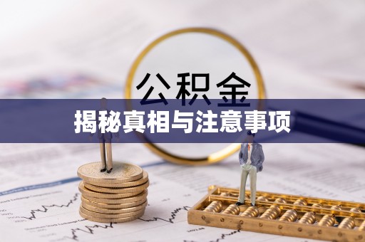 玉山揭秘真相与注意事项
