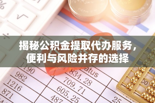 玉山揭秘公积金提取代办服务，便利与风险并存的选择