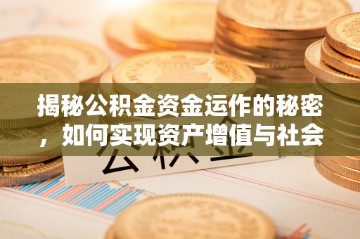 玉山揭秘公积金资金运作的秘密，如何实现资产增值与社会福利双赢？