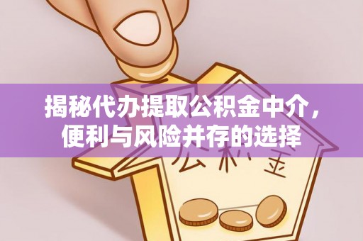 玉山揭秘代办提取公积金中介，便利与风险并存的选择