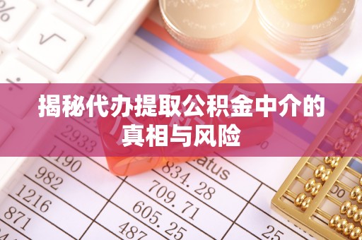 玉山揭秘代办提取公积金中介的真相与风险
