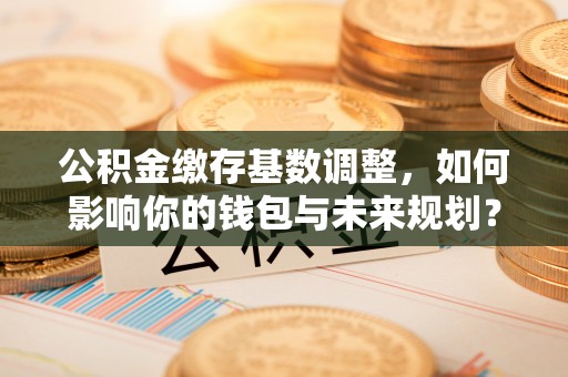 玉山公积金缴存基数调整，如何影响你的钱包与未来规划？