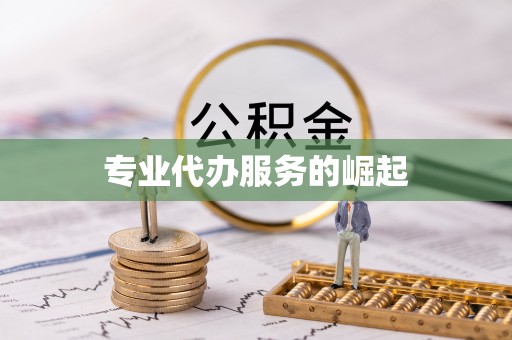 玉山专业代办服务的崛起