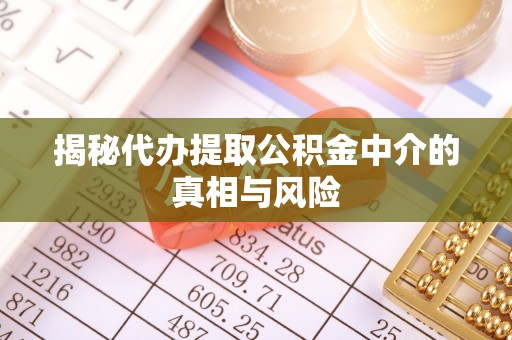 玉山揭秘代办提取公积金中介的真相与风险