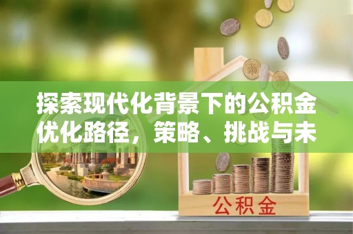 玉山探索现代化背景下的公积金优化路径，策略、挑战与未来展望