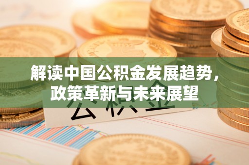 玉山解读中国公积金发展趋势，政策革新与未来展望