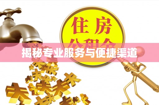 玉山揭秘专业服务与便捷渠道