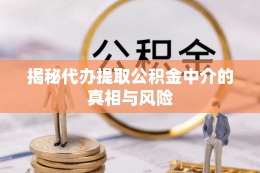 玉山揭秘代办提取公积金中介的真相与风险