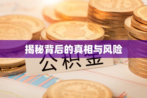 玉山揭秘背后的真相与风险