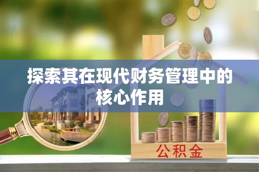 玉山探索其在现代财务管理中的核心作用