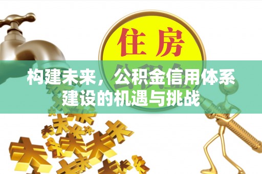 玉山构建未来，公积金信用体系建设的机遇与挑战