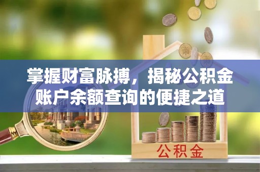 玉山掌握财富脉搏，揭秘公积金账户余额查询的便捷之道