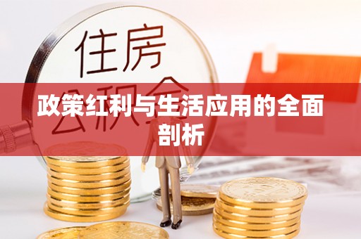 玉山政策红利与生活应用的全面剖析