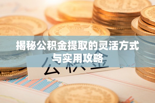 玉山揭秘公积金提取的灵活方式与实用攻略