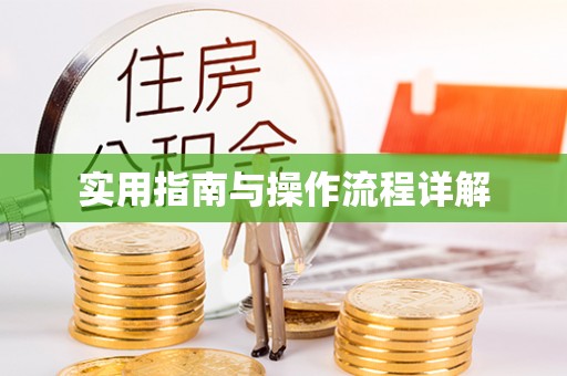玉山实用指南与操作流程详解