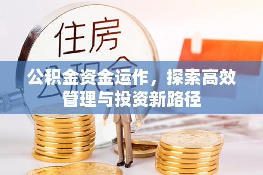 玉山公积金资金运作，探索高效管理与投资新路径