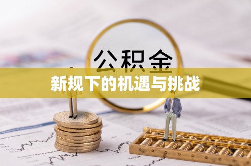 玉山新规下的机遇与挑战