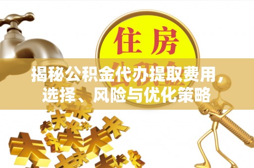 玉山揭秘公积金代办提取费用，选择、风险与优化策略