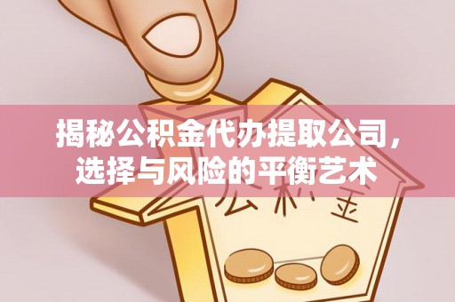 玉山揭秘公积金代办提取公司，选择与风险的平衡艺术