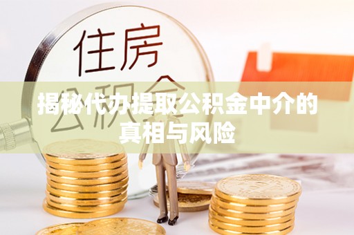 玉山揭秘代办提取公积金中介的真相与风险