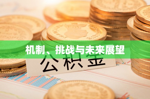 玉山机制、挑战与未来展望